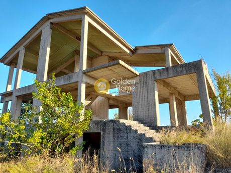 Οικόπεδο 10.000τ.μ. για πώληση-Κ. καπανδριτίου » Καπανδρίτι