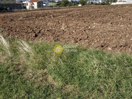Αγροτεμάχια 6.750τ.μ. για πώληση-Θέρμη » Νέα ραιδεστός