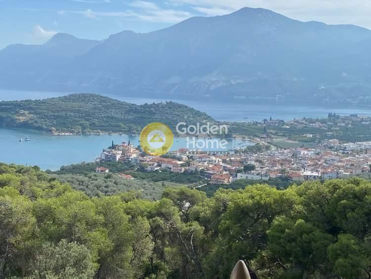 Οικόπεδο 10.817 τ.μ. πρός πώληση, Μαγνησία, Αργαλαστή