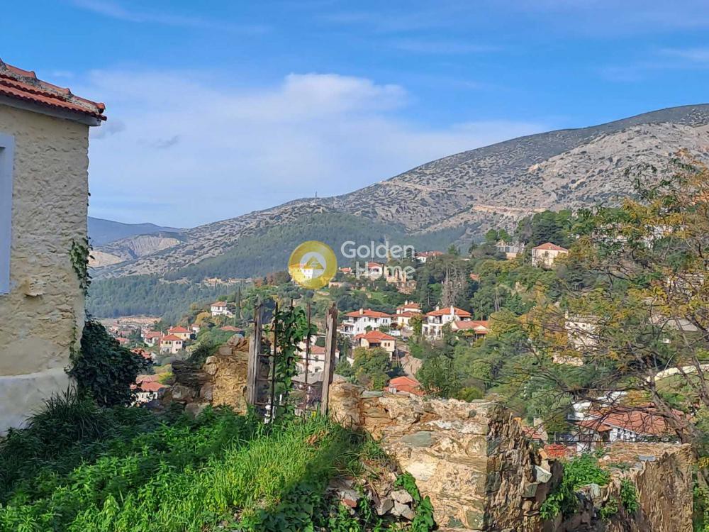 Οικόπεδο 732 τ.μ. πρός πώληση, Μαγνησία, Ιωλκός