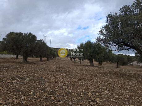 Αγροτεμάχια 6.429τ.μ. για πώληση-Κερατέα » Μητροπήσι