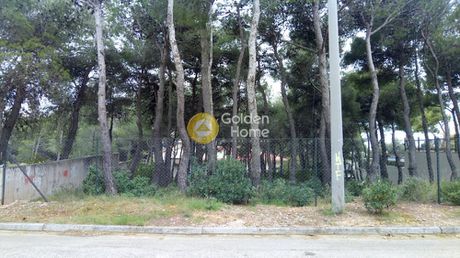 Οικόπεδο 1.035τ.μ. για πώληση-Αχαρνές » Θρακομακεδόνες