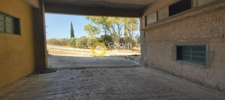 Επιχειρηματικό κτίριο 7.500τ.μ. για ενοικίαση-Μαρκόπουλο » Κέντρο