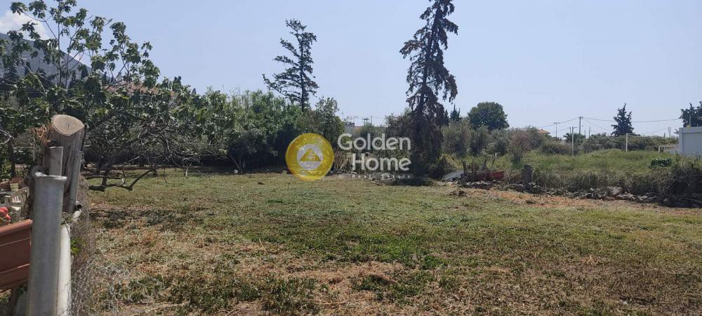 Οικόπεδο 990 τ.μ. πρός πώληση, Μαγνησία, Αγριά