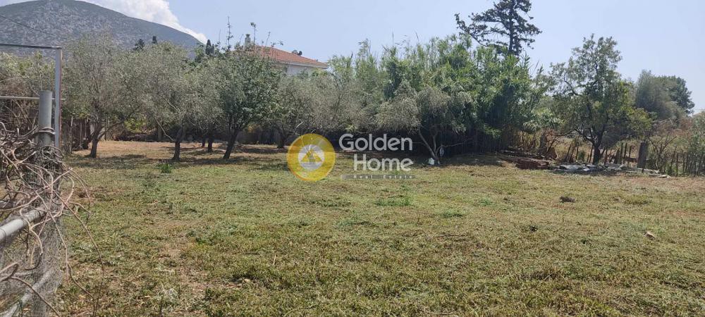 Οικόπεδο 990 τ.μ. πρός πώληση, Μαγνησία, Αγριά