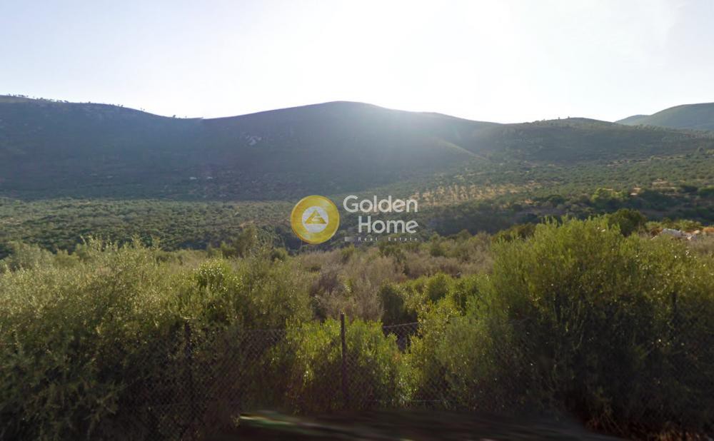 Οικόπεδο 416.000 τ.μ. προς πώληση, Κόρφος