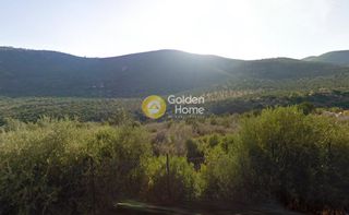 Οικόπεδο 416.000 τ.μ. για πώληση