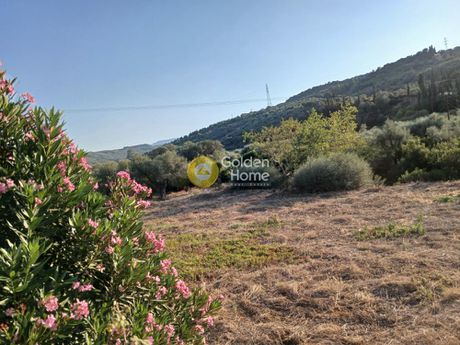 Οικόπεδο 1.777τ.μ. για πώληση-Αιγιάλεια » Άβυθος