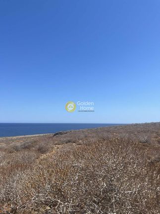 Οικόπεδο 40.000 τ.μ. για πώληση, Ν. Λασιθίου, Νεάπολη