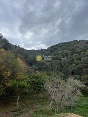 Οικόπεδο 3.335 τ.μ. για πώληση