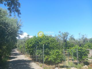Οικόπεδο 4.992 τ.μ. για πώληση, Αχαΐα, Αιγιάλεια-thumb-1