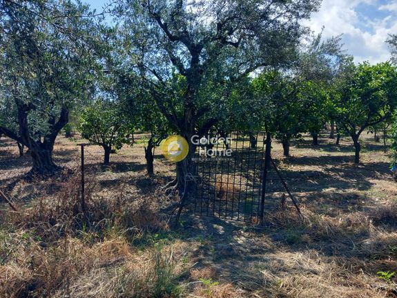 Οικόπεδο 4.992 τ.μ. για πώληση, Αχαΐα, Αιγιάλεια