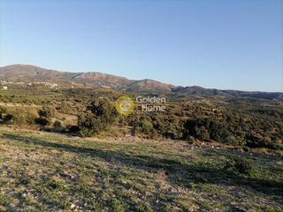 Αγροτεμάχια 3.417 τ.μ. για πώληση