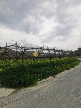 Οικόπεδο 5.058τ.μ. για πώληση-Τέμενος » Μαλάδες
