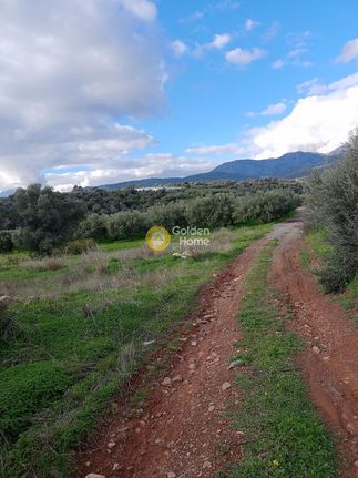 Parcel 3.000 sqm for sale, Heraklion Prefecture, Timpaki