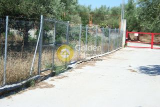 Οικόπεδο 2.800 τ.μ. πρός πώληση, Μεσσηνία, Άριο-thumb-3