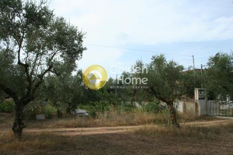 Οικόπεδο 2.800τ.μ. για πώληση-Άριο » Αριοχώρι
