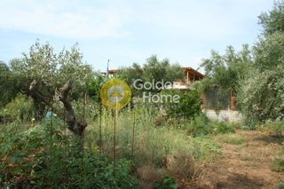 Οικόπεδο 2.800 τ.μ. πρός πώληση, Μεσσηνία, Άριο-thumb-1