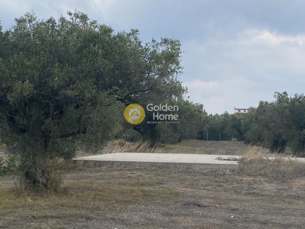 Αγροτεμάχια 5.190 τ.μ. προς πώληση, Δροσιά Ανθηδώνος