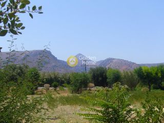 Οικόπεδο 10.500 τ.μ. για ενοικίαση