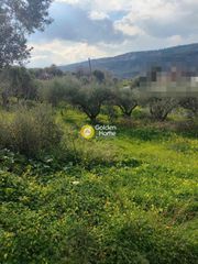 Οικόπεδο 1.135 τ.μ. για πώληση