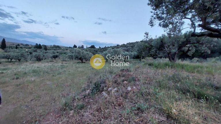 Οικόπεδο 13.000 τ.μ. για πώληση, Φωκίδα, Γαλαξίδι