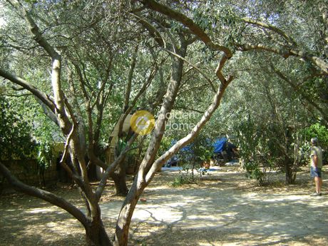 Κτίριο 462τ.μ. για πώληση-Νέο ψυχικό » Αγία σοφία