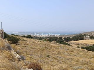 Αγροτεμάχια 7.595 τ.μ. για πώληση