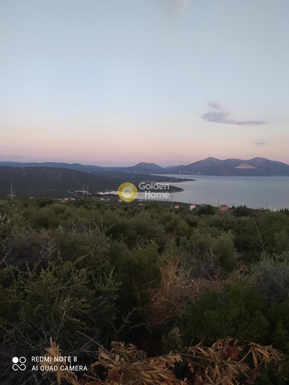 Οικόπεδο 756 τ.μ. προς πώληση, Ακτή Νηρέως