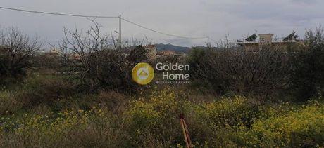 Οικόπεδο 3.975τ.μ. για πώληση-Ελευσίνα » Κέντρο