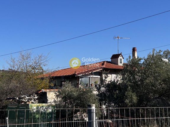 Detached home 450 sqm for sale, Rest Of Attica, Mandra