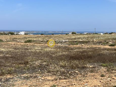 Αγροτεμάχια 7.380τ.μ. για πώληση-Πάρος » Γλυσίδια