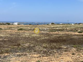 Αγροτεμάχια 7.380 τ.μ. για πώληση