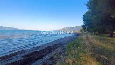 Αγροτεμάχια 4.100τ.μ. για πώληση-Καμένα βούρλα » Νέο θρόνιο