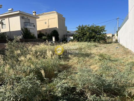 Οικόπεδο 754τ.μ. για πώληση-Βάρη- βάρκιζα » Ασύρματος αλίανθου
