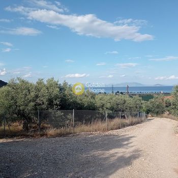 Οικόπεδο 985τ.μ. για πώληση-Βόρεια κυνουρία » Κάτω βέρβενα