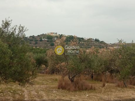 Οικόπεδο 4.330τ.μ. για πώληση-Τυμπάκι » Καλαμάκι