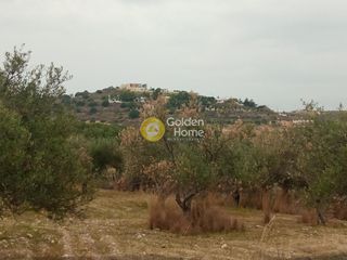 Οικόπεδο 4.330 τ.μ. για πώληση