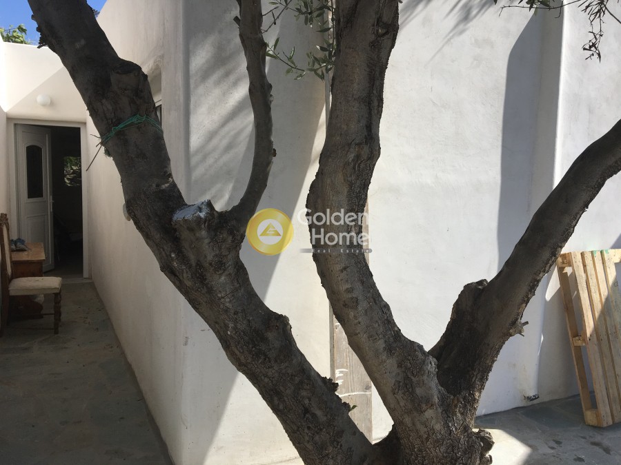 Συγκρότημα διαμερισμάτων 260 τ.μ. προς πώληση, Χώρα Μυκόνου