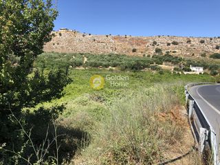 Οικόπεδο 4.450 τ.μ. για πώληση
