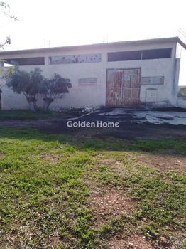 Βιομηχανικός χώρος 500τ.μ. για πώληση-Ελευσίνα » Νέος πόντος