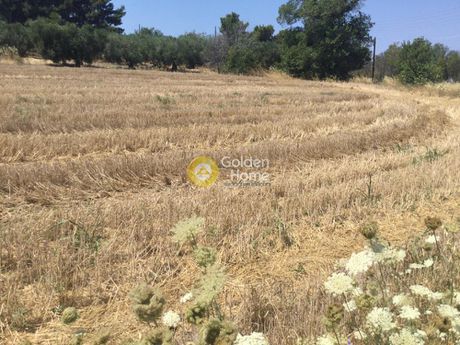 Αγροτεμάχια 1.800τ.μ. για πώληση-Επανομή » Κέντρο