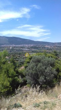 Land plot 254 sqm for sale, Athens - East, Paiania
