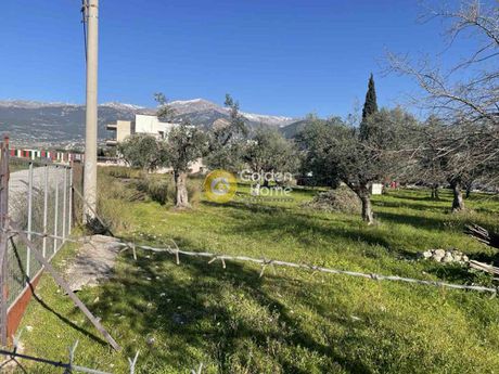Οικόπεδο 430τ.μ. για πώληση-Μεσσατίδα » Δεμένικα