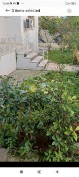 Διαμέρισμα 100τ.μ. για πώληση-Χαλάνδρι » Νομισματοκοπειο
