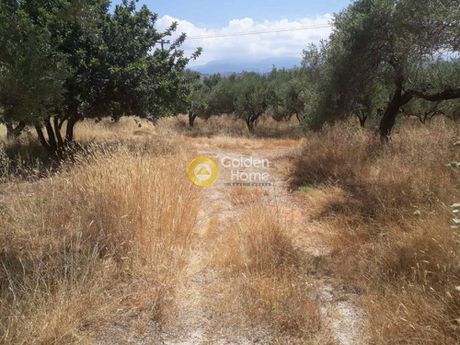Οικόπεδο 16.200τ.μ. για πώληση-Θέρισος » Βαμβακόπουλο