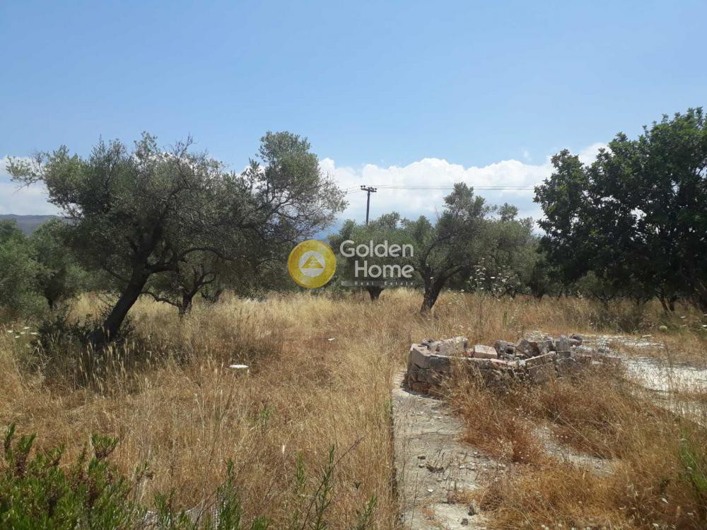 Οικόπεδο 16.200 τ.μ. προς πώληση, Βαμβακόπουλο