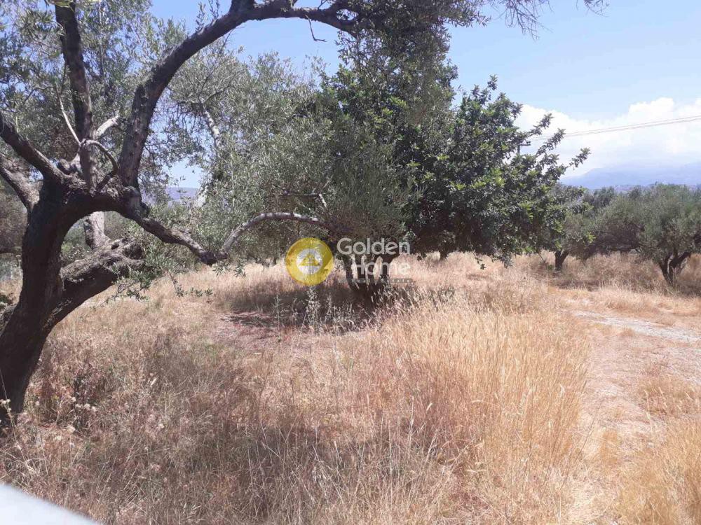 Οικόπεδο 16.200 τ.μ. προς πώληση, Βαμβακόπουλο
