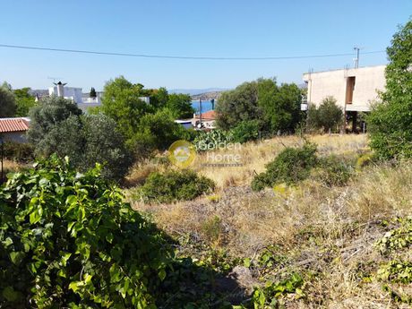 Οικόπεδο 658τ.μ. για πώληση-Αμπελάκια » Σελήνια