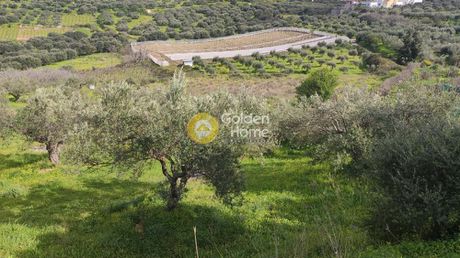 Οικόπεδο 5.300τ.μ. για πώληση-Ηράκλειο κρήτης » Σκαλάνι